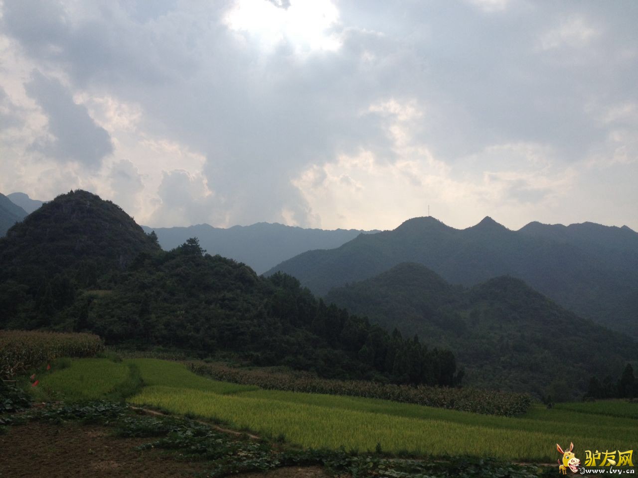 1240de95e7940a1d052d243dcc4eca50������.jpg